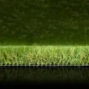 GreenUtopia-detail-lr.jpg