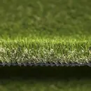 NG_Ariosa-Detail.jpg