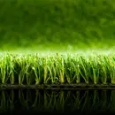 GreenFresh-detail-lr.jpg